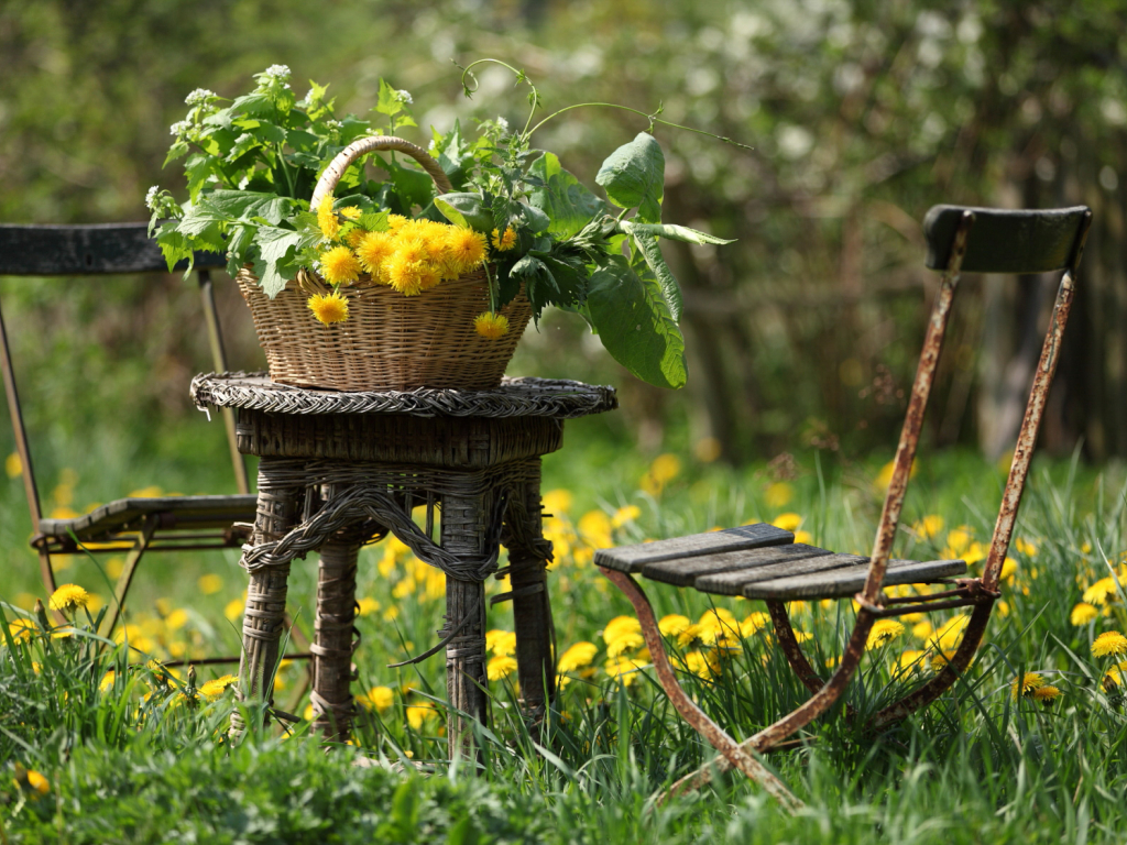 Urheber: Steffen Herre