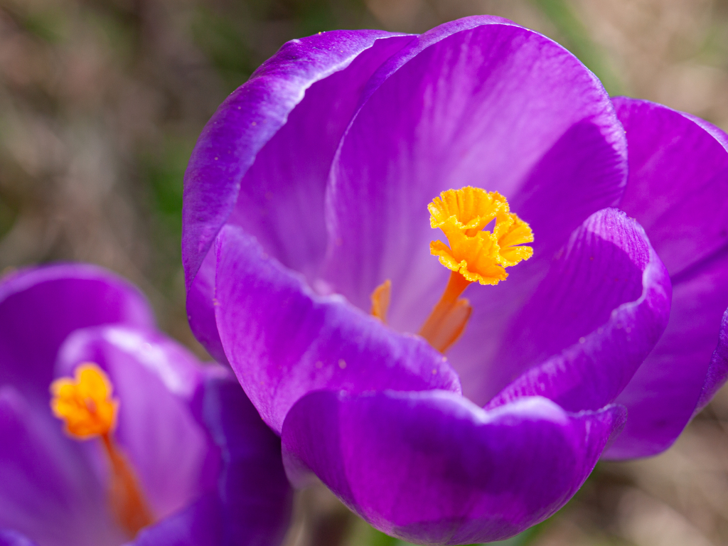 Urheber: Steffen Herre