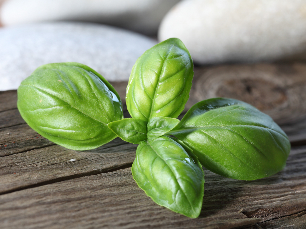 Urheber: Steffen Herre