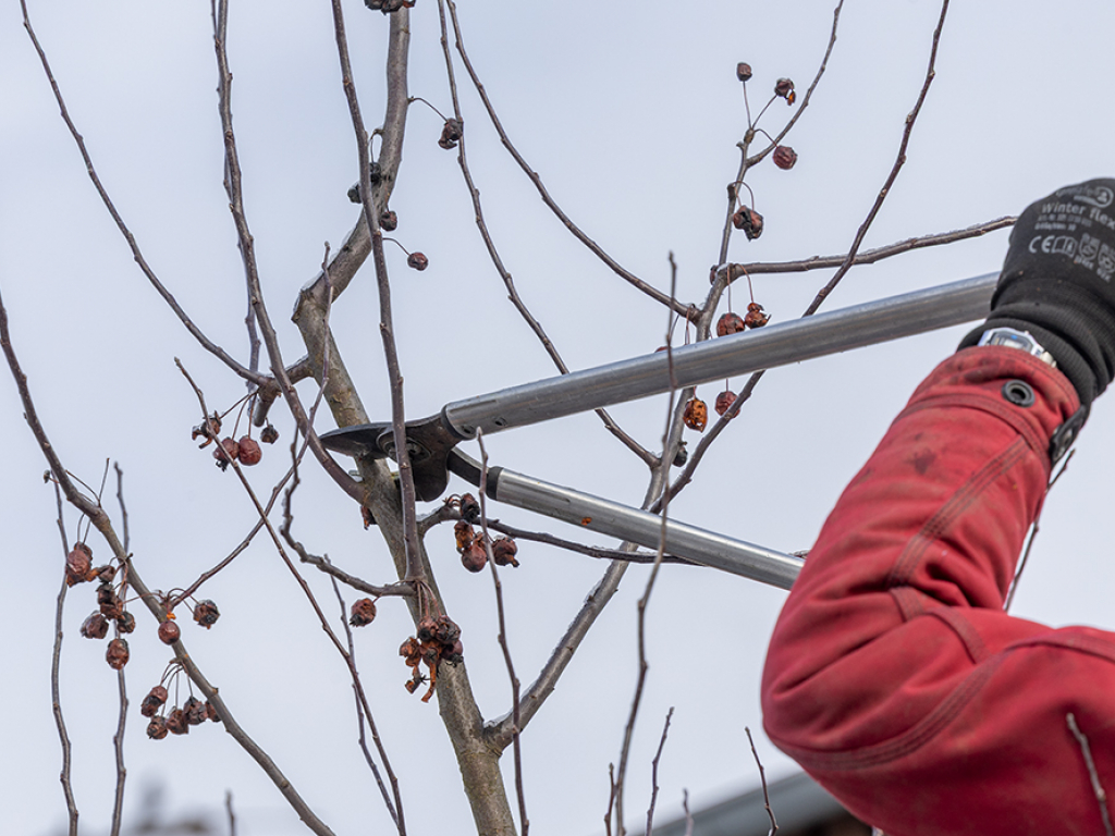 Urheber: Andreas Prinz 