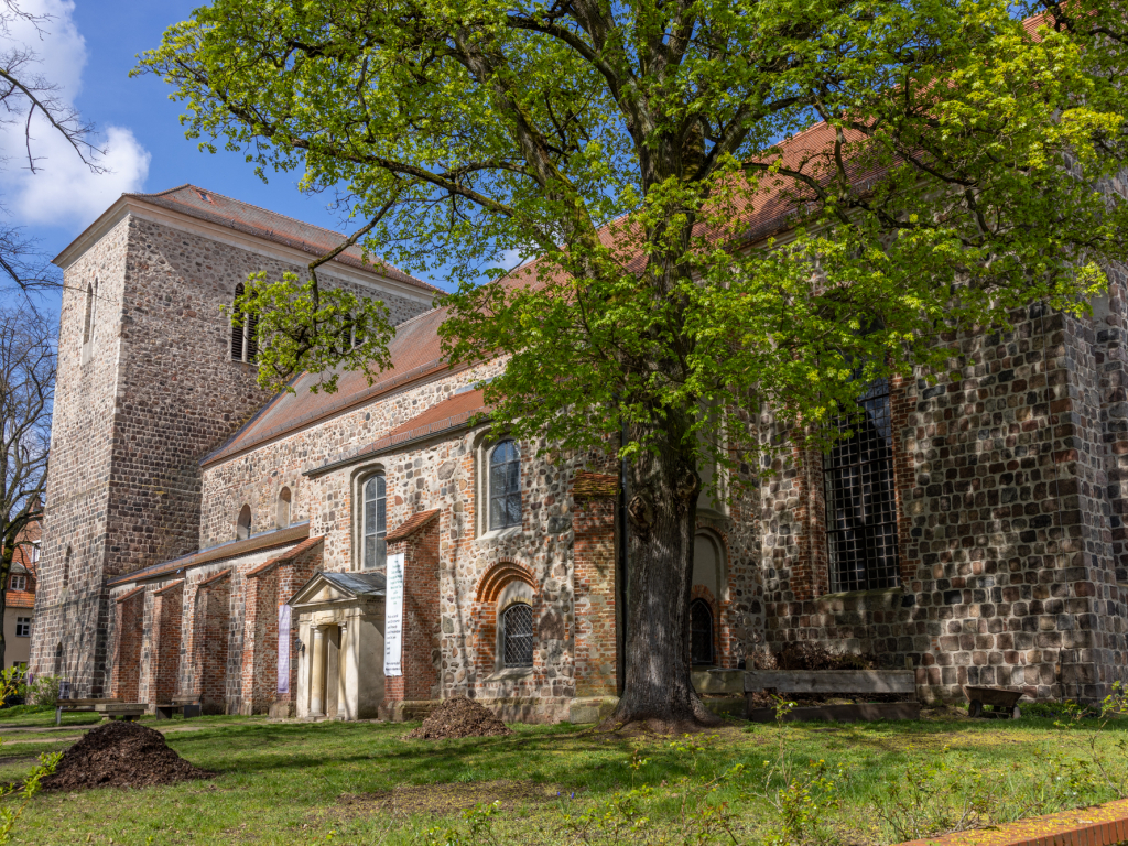 Thmubnail: Aktuelle Musik in der Marienkirche