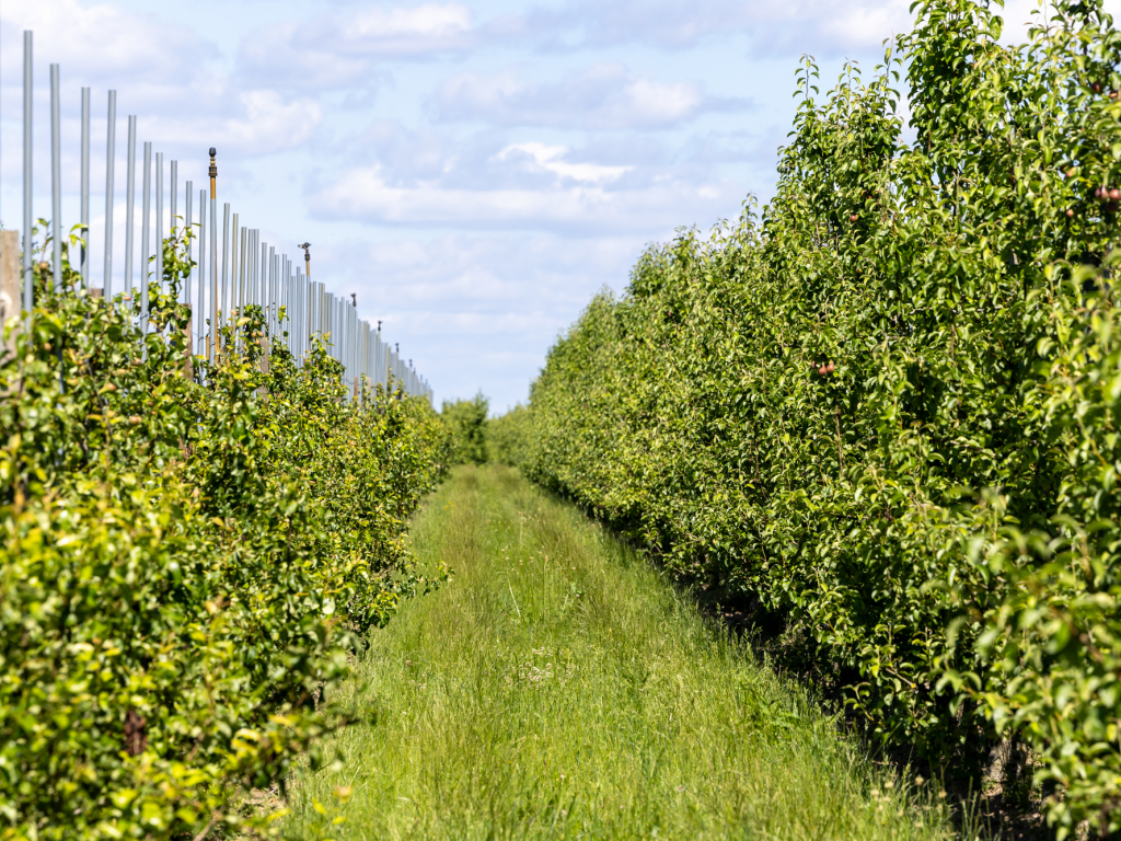 Urheber: Andreas Prinz