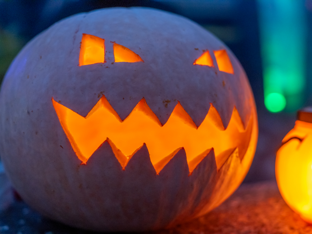 Thumbnail: Halloween auf dem Bauernhof Mümmelmann
