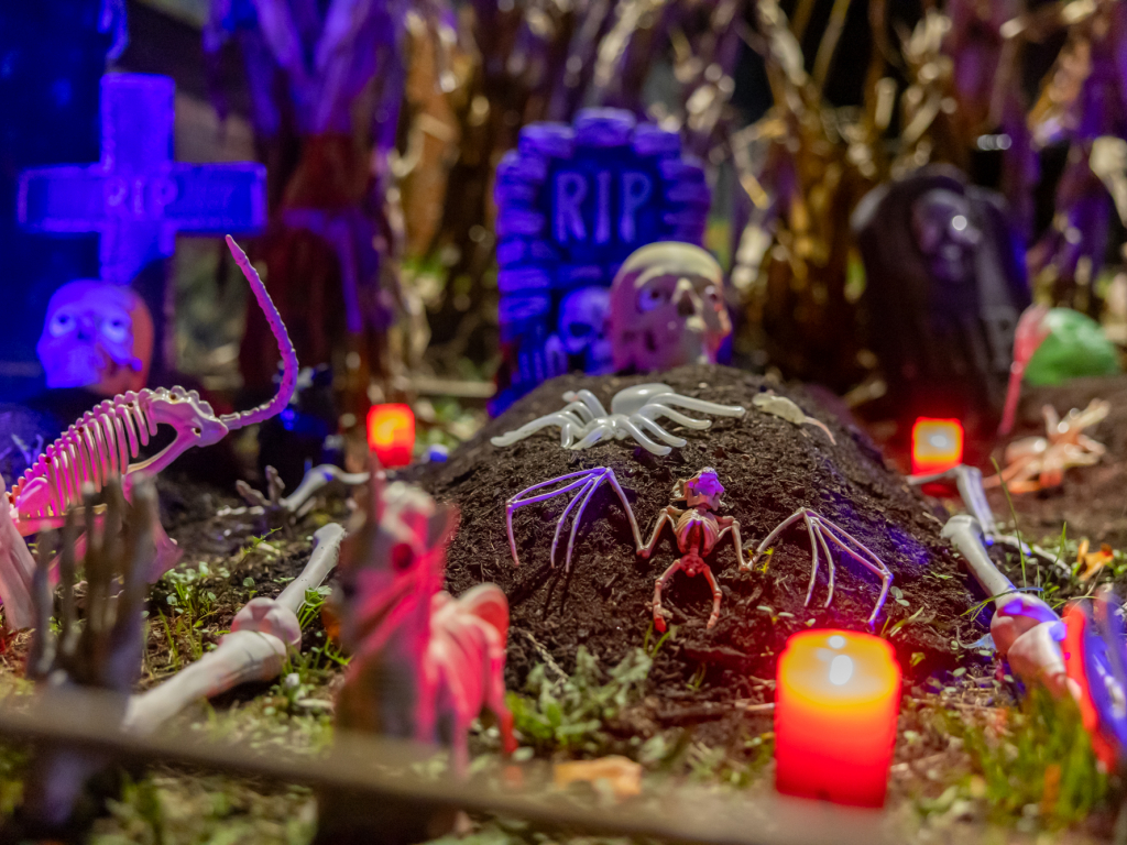 Thumbnail: Halloweenfeuer & -party