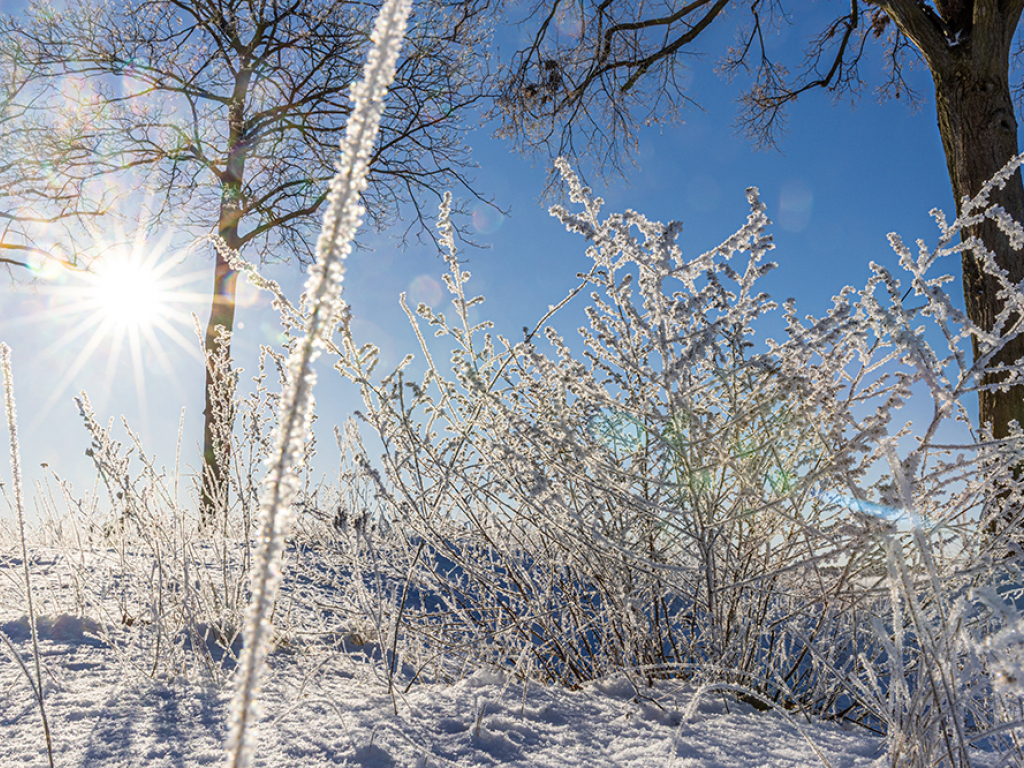 Urheber: Andreas Prinz