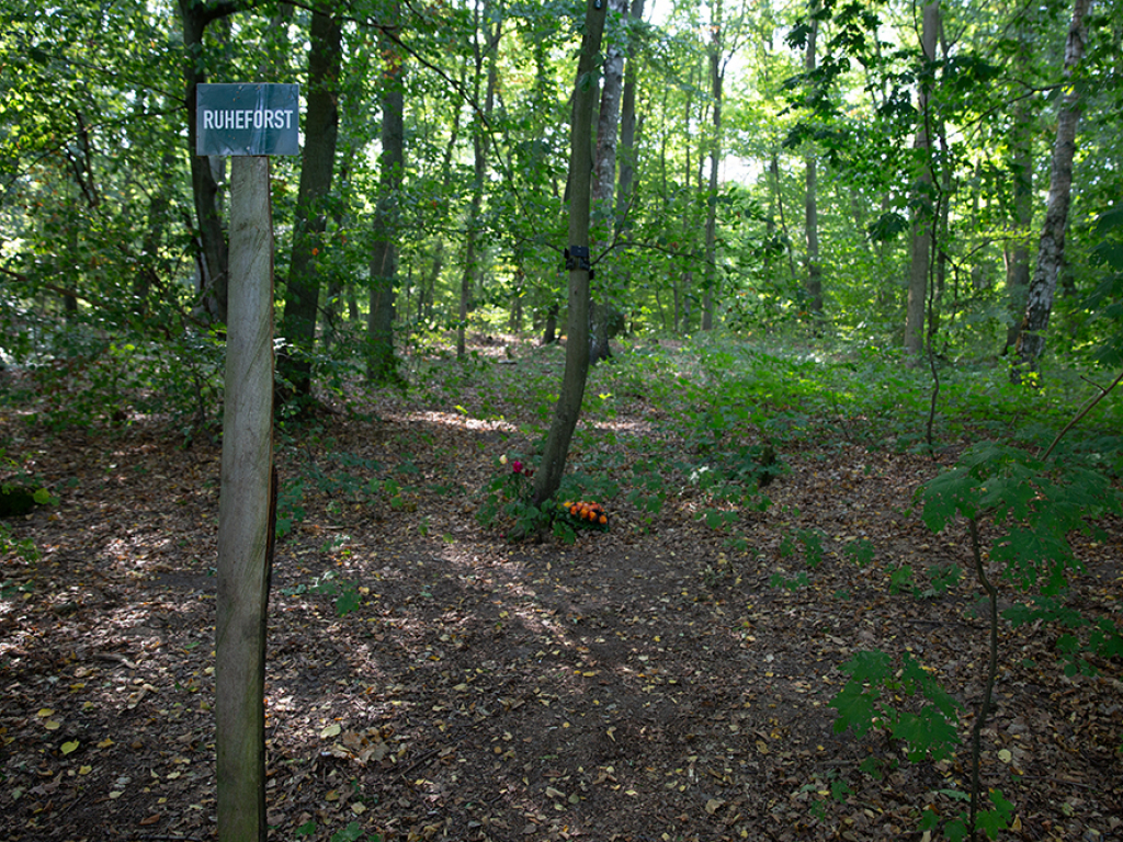 Thumbnail: Verkehrssicherungsmaßnahmen 
