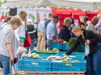 Thmubnail: Regionalmarkt beim Schlossgut