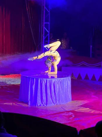 Urheber: Fotos MAFZ/Verband 