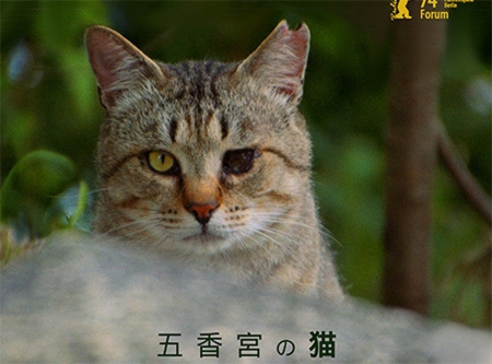 Urheber: Plakat zur Veranstaltung