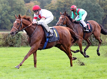 Urheber: Galoppfoto - Frank Sorge