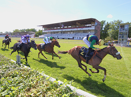 Urheber: Frank Sorge