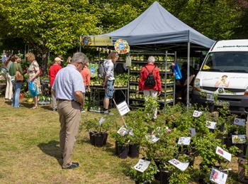 Thmubnail: Buckower Garten- und Gesundheitstag