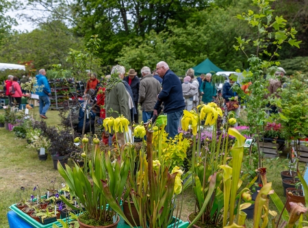 Thmubnail: Buckower Garten- und Gesundheitstag
