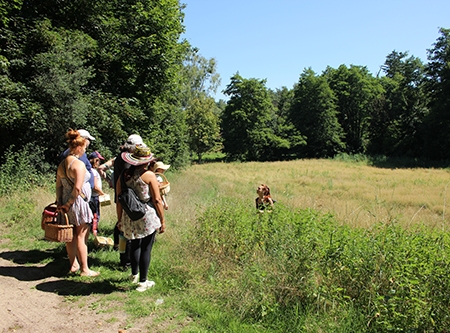 Urheber: Larissa Schulz