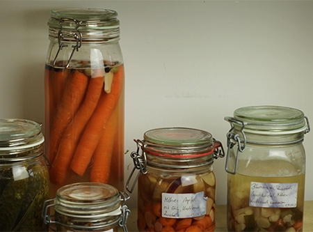 Thmubnail: Workshop Fermentieren