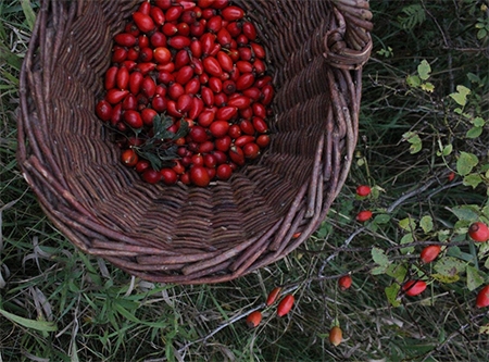 Urheber: Larissa Schulz