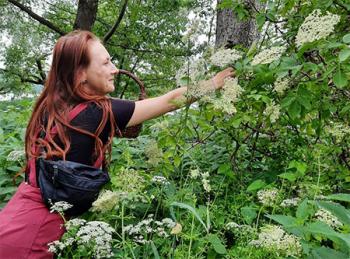 Thmubnail: Kräuterwanderung im Juni