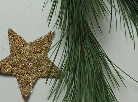 Urheber: Larissa Schulz