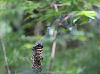 Urheber: Larissa Schulz