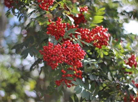 Urheber: Larissa Schulz