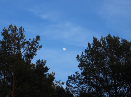 Urheber: Larissa Schulz