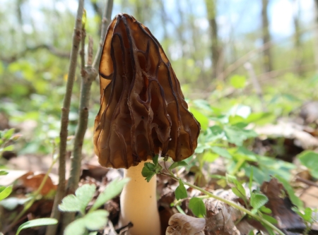 Urheber: Oliver Türk