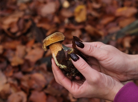 Urheber: Larissa Schulz