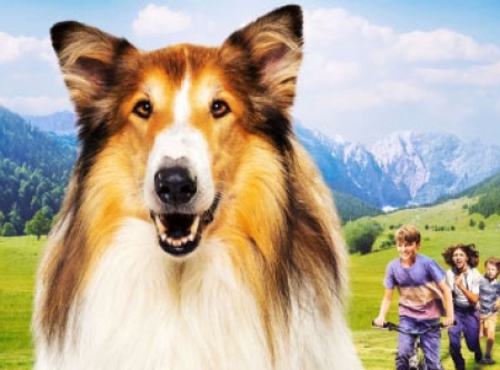 Urheber: Plakat zur Veranstaltung