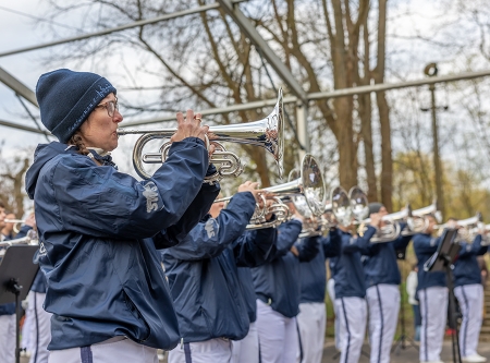 Thmubnail: Musik im Park