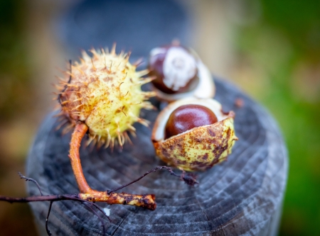 Urheber: Andreas Prinz