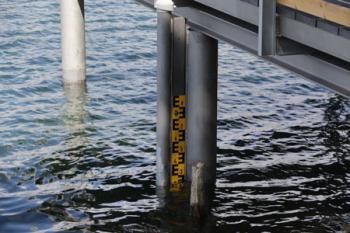 Urheber: sdy/Stadtverwaltung
