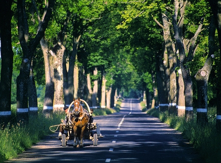 Urheber: Roland Marske