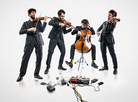 Urheber: Sander Stuart