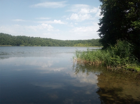 Thumbnail: Fängersee unter Beobachtung