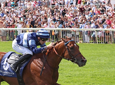 Urheber: frank sorge www.galoppfoto.de