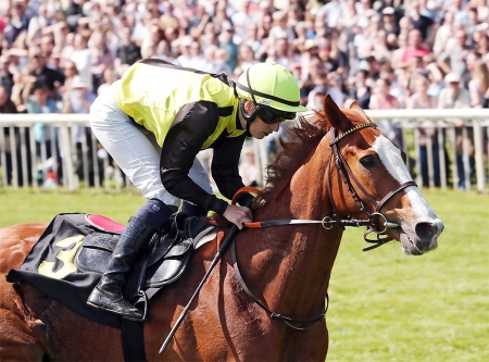 Urheber: galoppfoto.de