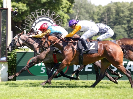 Urheber: Frank Sorge www.gloppfoto.de