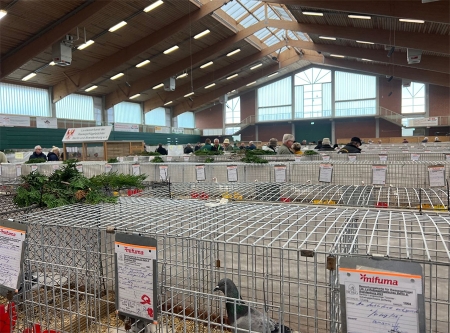 Urheber: Erlebnispark Paaren 