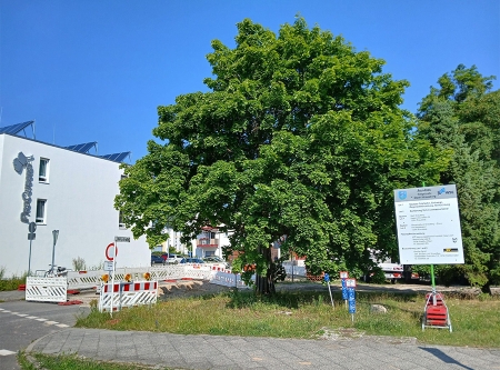 Thumbnail: Bauarbeiten: Ringstraße
