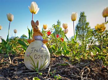 Urheber: pr - Thomas Ahrens TKO