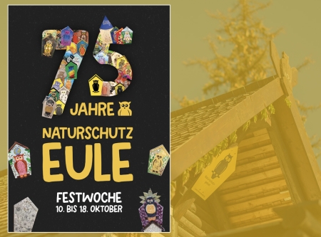Thumbnail: „75 Jahre Naturschutzeule“ - VERSTEIGERUNG „eulenARTen – KUNST für den Naturschutz“