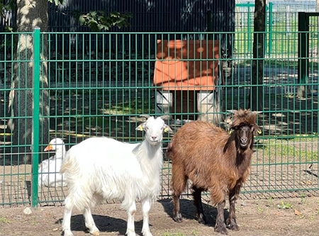 Urheber: Erlebnispark Paaren 