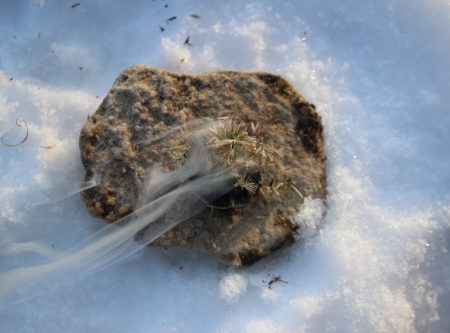 Urheber: Larissa Schulz