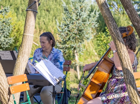 Thumbnail: Sommerkonzert in Baumschule Vierhub