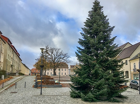 Thmubnail: Strausberg: Weihnachtsbaum