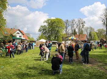 Thmubnail: Bock auf Wilkendorf