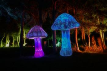 Urheber: S. Fröhlich